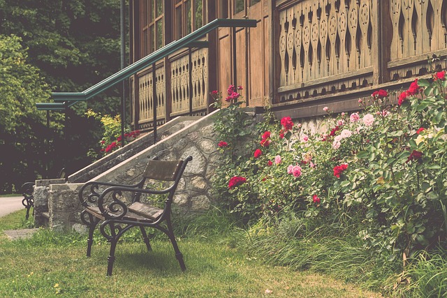 其他优秀运 其他优秀运