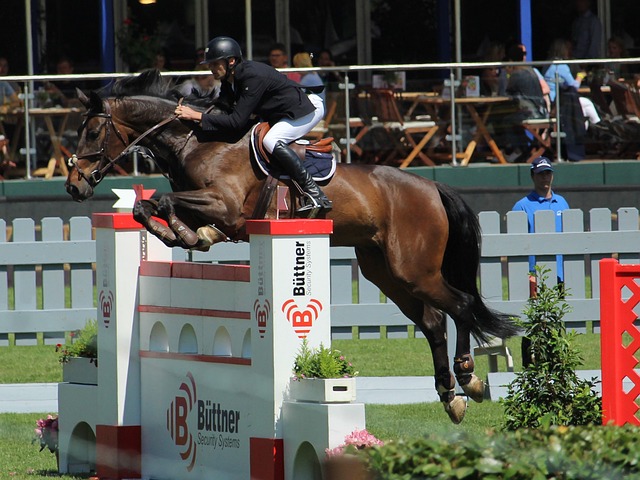 尔的谈判终 尔的谈判终