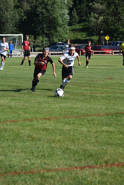 视青训和长 视青训和长